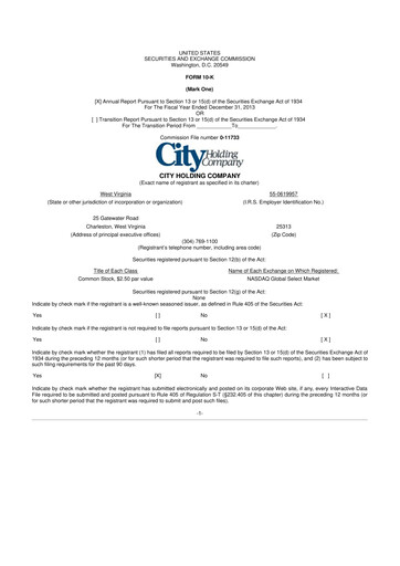 Thumbnail City Holding Company 10-K Annual Report 2013