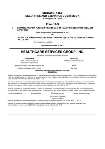 Thumbnail Healthcare Services Group 10-Q Quarterly Report FY2013 