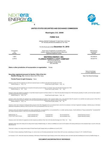 Thumbnail Nextera Energy 10-K Annual Report 2010