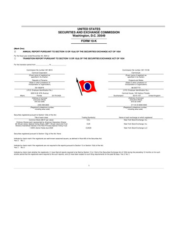 Thumbnail Carnival Corporation 10-K Annual Report 