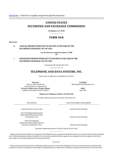 Thumbnail Telephone and Data Systems
 10-K Annual Report 