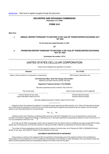 Thumbnail Array Digital Infrastructure 10-K Annual Report 2001