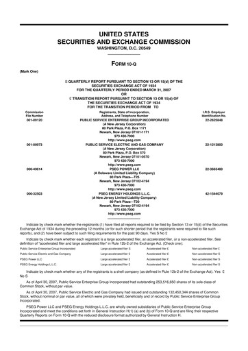 Miniature PSEG 10-Q Rapport trimestriel  