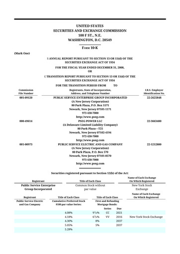 Thumbnail PSEG 10-K Annual Report 