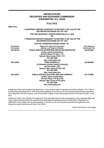 Miniature PSEG 10-Q Rapport trimestriel  