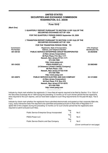 Miniature PSEG 10-Q Rapport trimestriel  