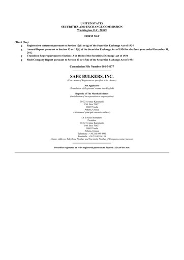 Miniature Safe Bulkers
 20-F Rapport annuel 