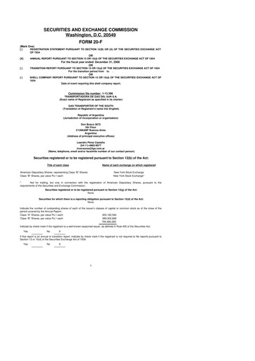 Thumbnail Transportadora de Gas del Sur 20-F Annual Report 