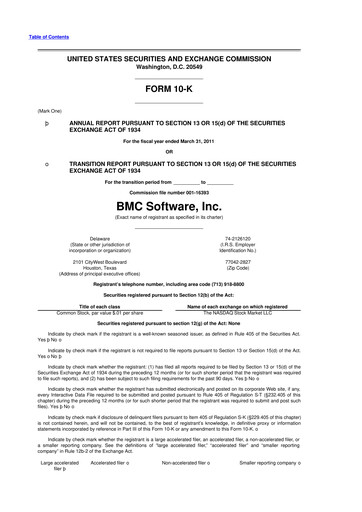 Miniature BMC Software 10-K Rapport annuel 