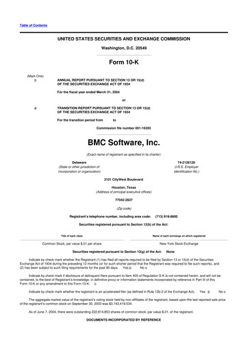 Miniature BMC Software 10-K Rapport annuel 
