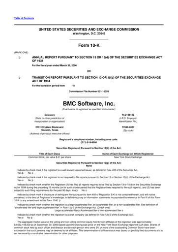 Miniature BMC Software 10-K Rapport annuel 