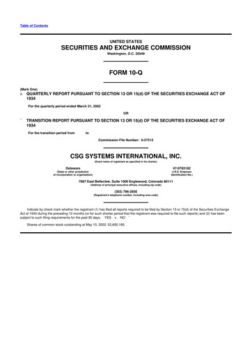 Thumbnail CSG International
 10-Q Quarterly Report FY 