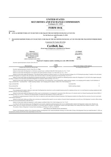 Thumbnail CeriBell 10-K Annual Report 2024