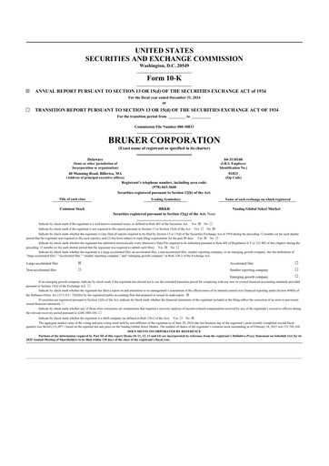 Thumbnail Bruker 10-K Annual Report 2024