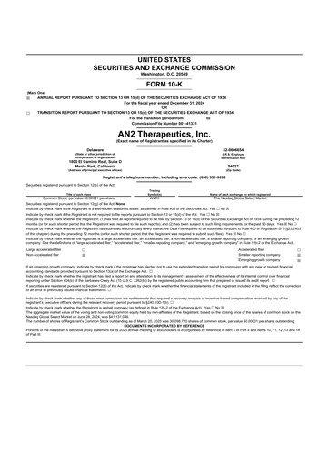 Thumbnail AN2 Therapeutics 10-K Annual Report 2024