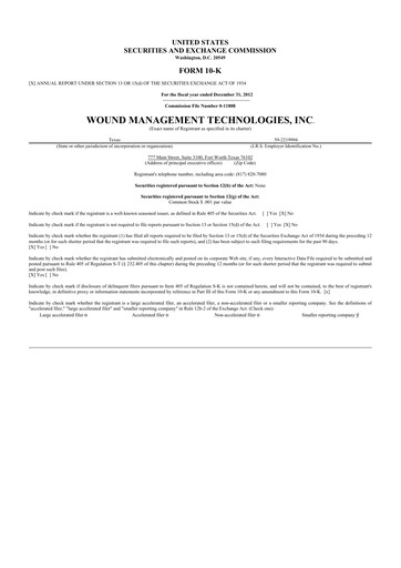 Thumbnail Sanara MedTech 10-K Annual Report 2012