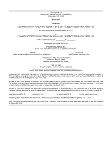 Thumbnail Paysign 10-Q Quarterly Report FY2013 