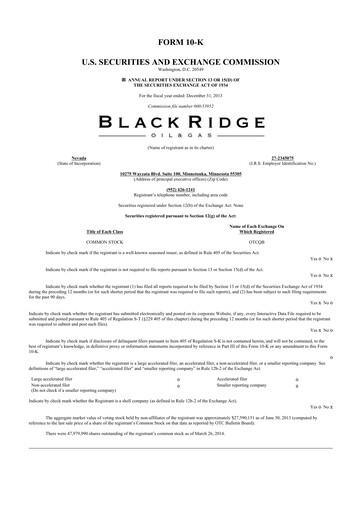 Thumbnail Sow Good 10-K Annual Report 2013