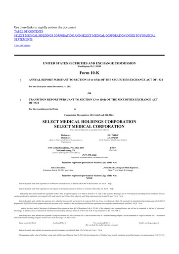 Thumbnail Select Medical Holdings 10-K Annual Report 2013