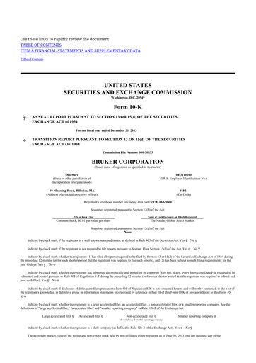 Thumbnail Bruker 10-K Annual Report 2013