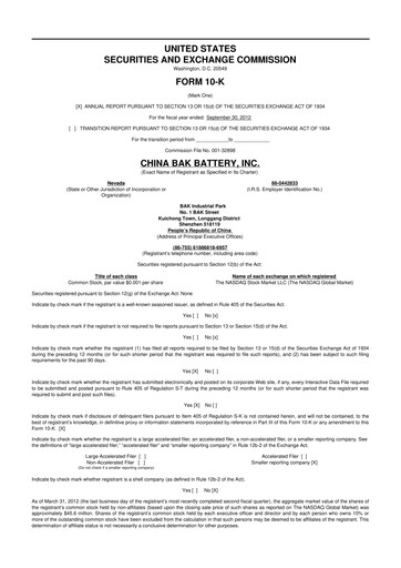 Thumbnail CBAK Energy Technology 10-K Annual Report 2012