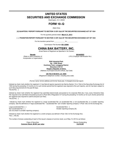 Thumbnail CBAK Energy Technology 10-Q Quarterly Report FY2013 