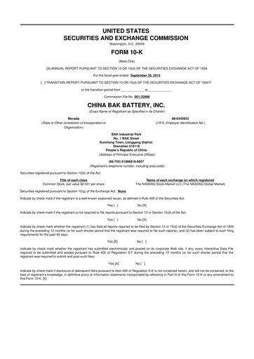 Thumbnail CBAK Energy Technology 10-K Annual Report 2013