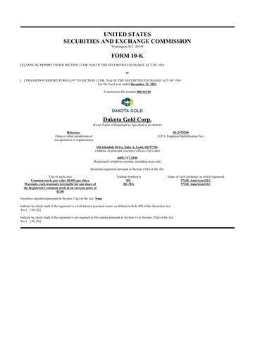 Thumbnail Dakota Gold 10-K Annual Report 2024