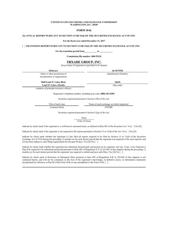 Thumbnail Scienture Holdings 10-K Annual Report 2017
