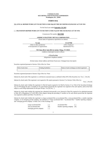 Vorschaubild American Battery Technology Company 10-K Jahresbericht 2019