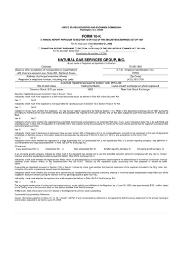 Miniature Natural Gas Services Group 10-K Rapport annuel 2023