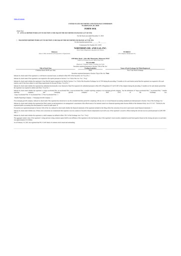 Thumbnail Northern Oil and Gas 10-K Annual Report 2024