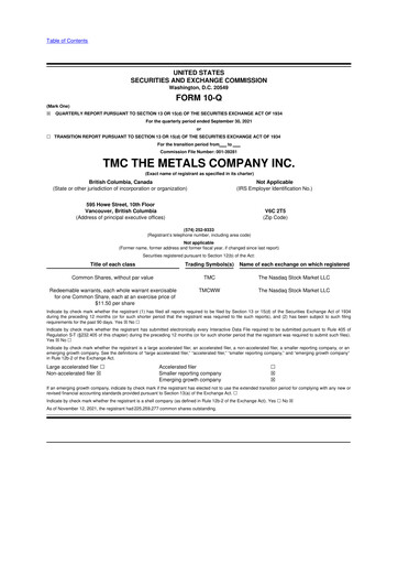 Vorschaubild The Metals Company 10-Q Quartalsbericht 2021 