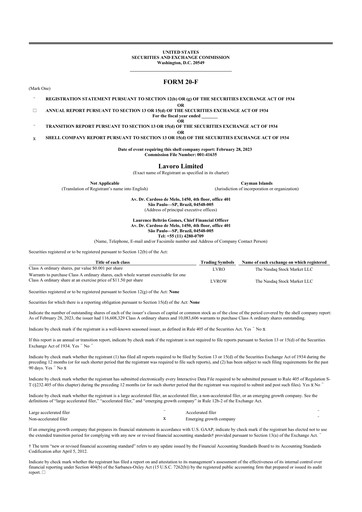 Miniature Lavoro 20-F Rapport annuel 