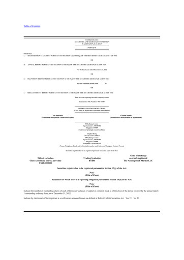 Thumbnail Bitdeer Technologies Group 20-F Annual Report 2022