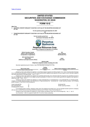Miniature Perpetua Resources 10-Q Rapport trimestriel 2024 