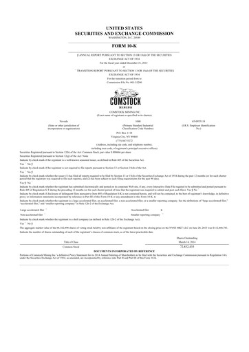 Thumbnail Comstock Inc. 10-K Annual Report 2013