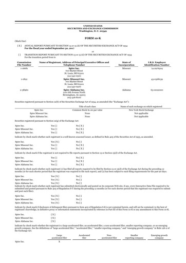 Miniature Spire Inc. 10-K Rapport annuel 