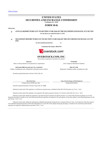 Thumbnail Beyond, Inc. 10-K Annual Report 2013