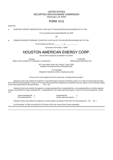 Thumbnail Houston American Energy 10-Q Quarterly Report FY 