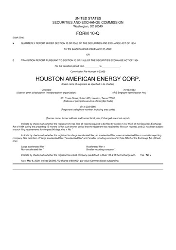 Thumbnail Houston American Energy 10-Q Quarterly Report FY 