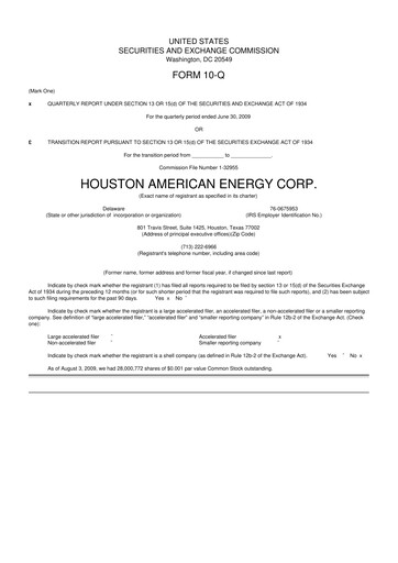 Thumbnail Houston American Energy 10-Q Quarterly Report FY 