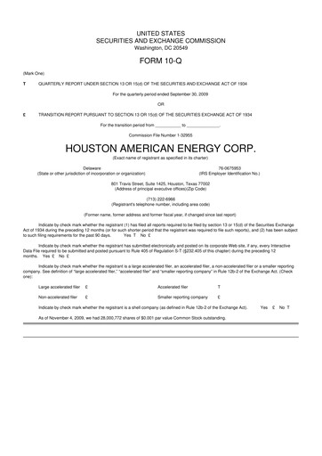Thumbnail Houston American Energy 10-Q Quarterly Report FY 