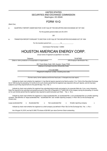 Thumbnail Houston American Energy 10-Q Quarterly Report FY 