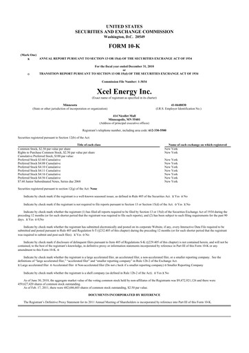 Thumbnail Xcel Energy 10-K Annual Report 2010
