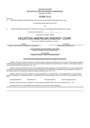 Thumbnail Houston American Energy 10-Q Quarterly Report FY 