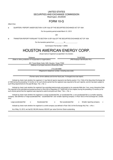 Thumbnail Houston American Energy 10-Q Quarterly Report FY2013 