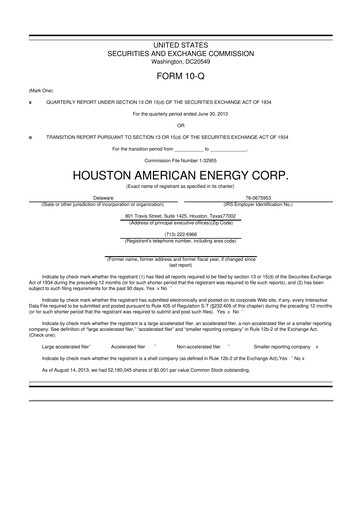 Thumbnail Houston American Energy 10-Q Quarterly Report FY2013 