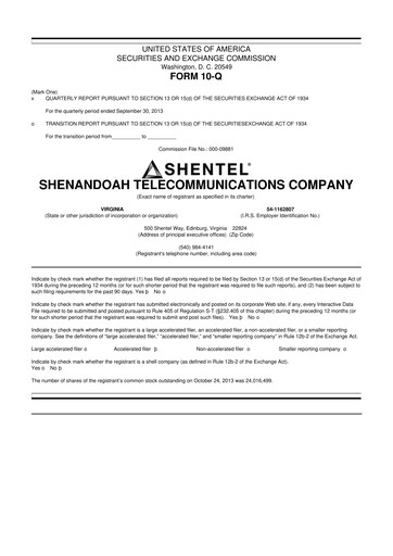 Thumbnail Shentel 10-Q Quarterly Report FY2013 