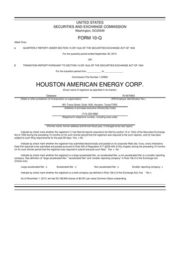 Thumbnail Houston American Energy 10-Q Quarterly Report FY2013 